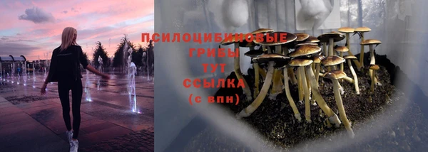 дурь Заволжье