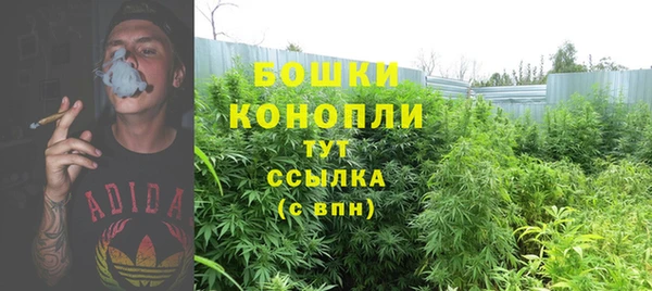 круглые Заводоуковск