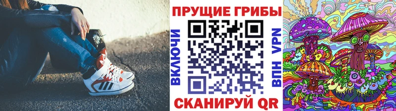 Псилоцибиновые грибы Cubensis  Купить  Кедровый 